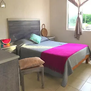 Pitaya Playa Vacacional , Playa del Carmen México